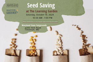 seed saving workshop flyer