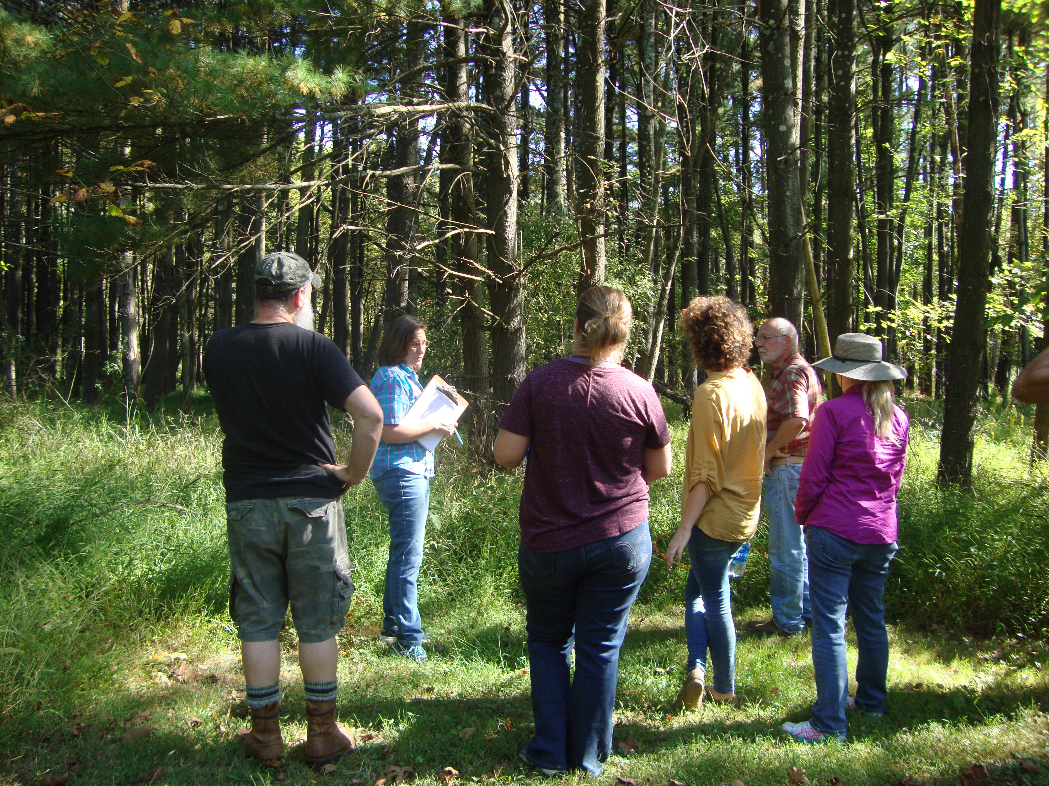 Educator teaching in forest