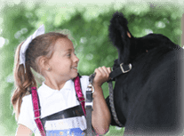 Frederick 4-H Youth With Cattle