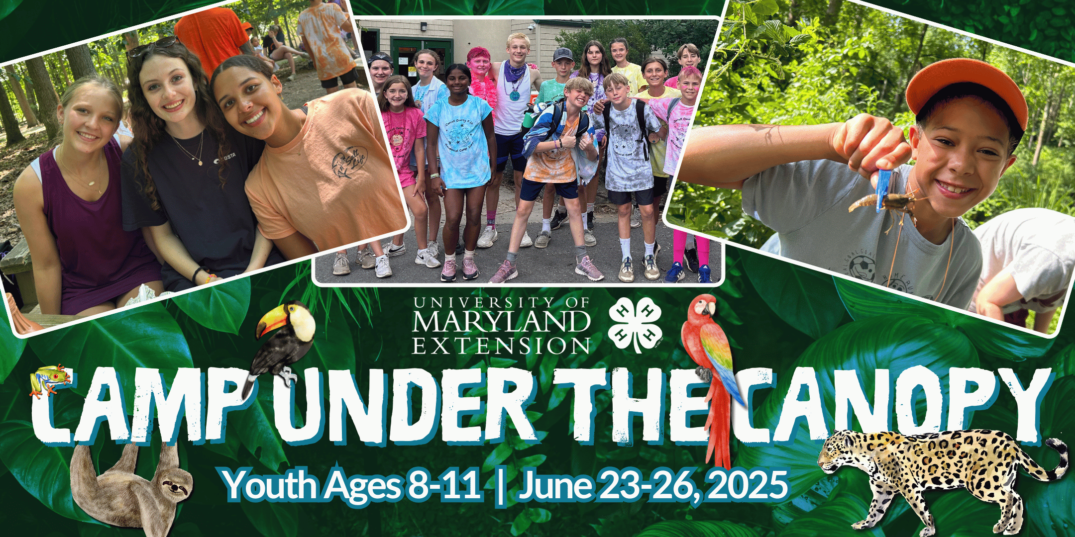 Camp Under the Canopy: Youth Ages 8-11 | June 23-26, 2025