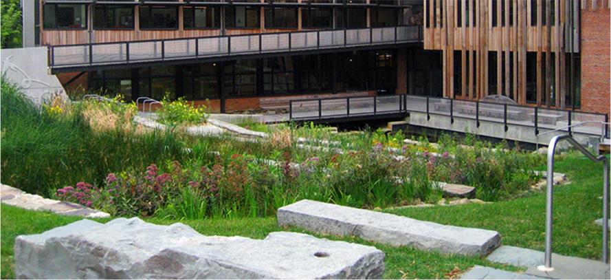 native plant garden