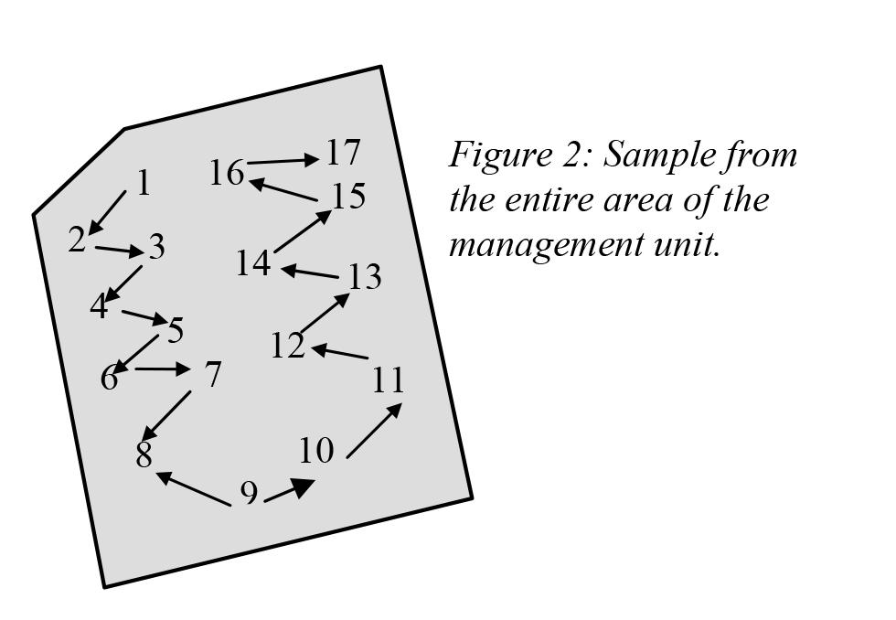 Soil sampling procedures