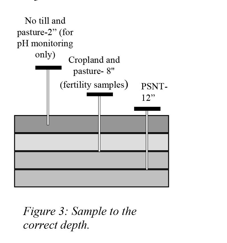 Soil Sampling