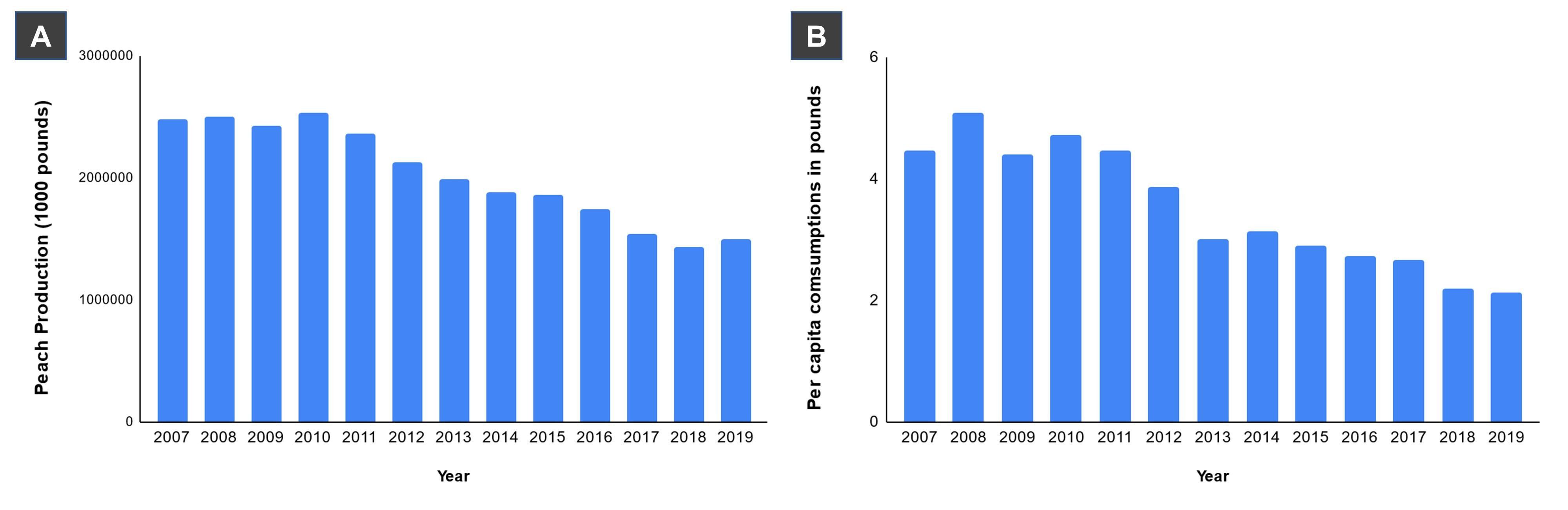 Figure 1. (A) U.S. peach production trends, 2007-2020 (in 1,000 pounds). Source: USDA National Agricultural Statistics. (B) U.S. per capita consumption of fresh peaches and nectarines, 2007-2019 (in pounds). Source: Statista.com.