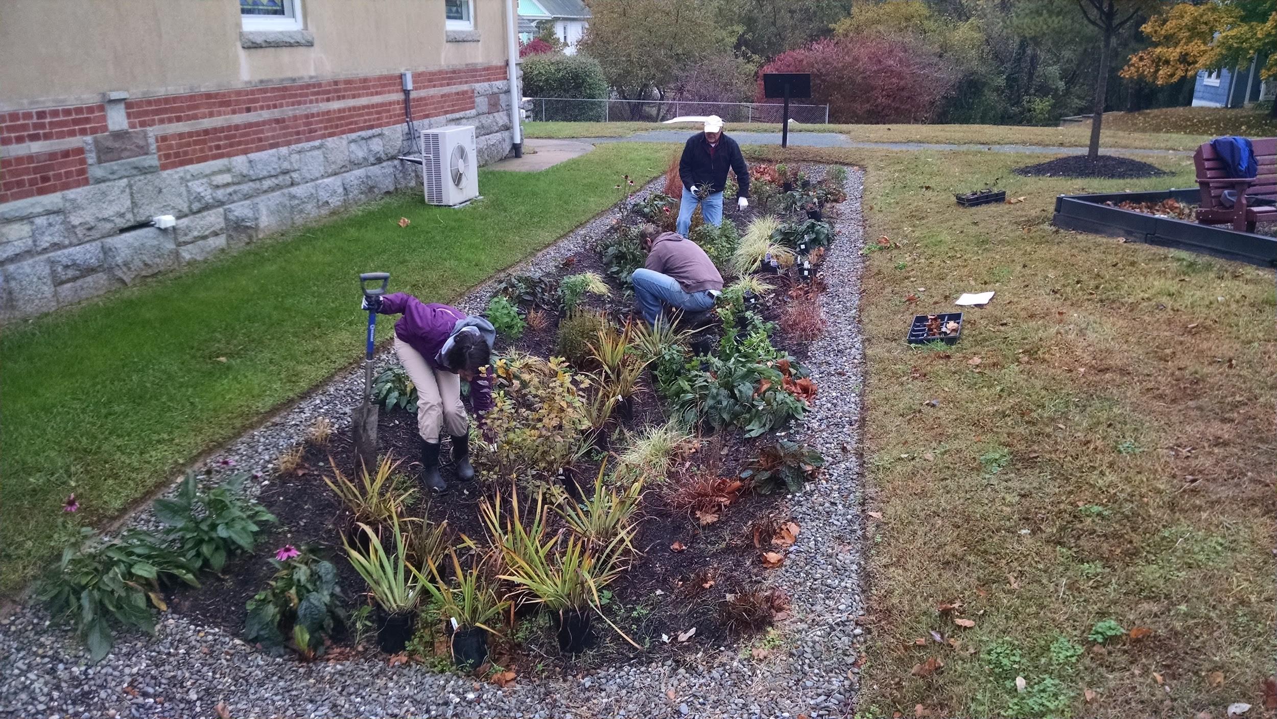 Rain Gardens