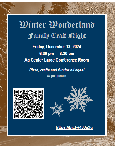 Winter Wonderland Family Craft Night