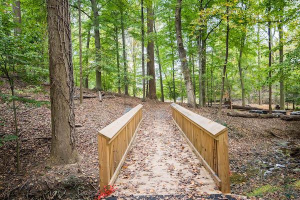 Wooden bridge entering green tree woods