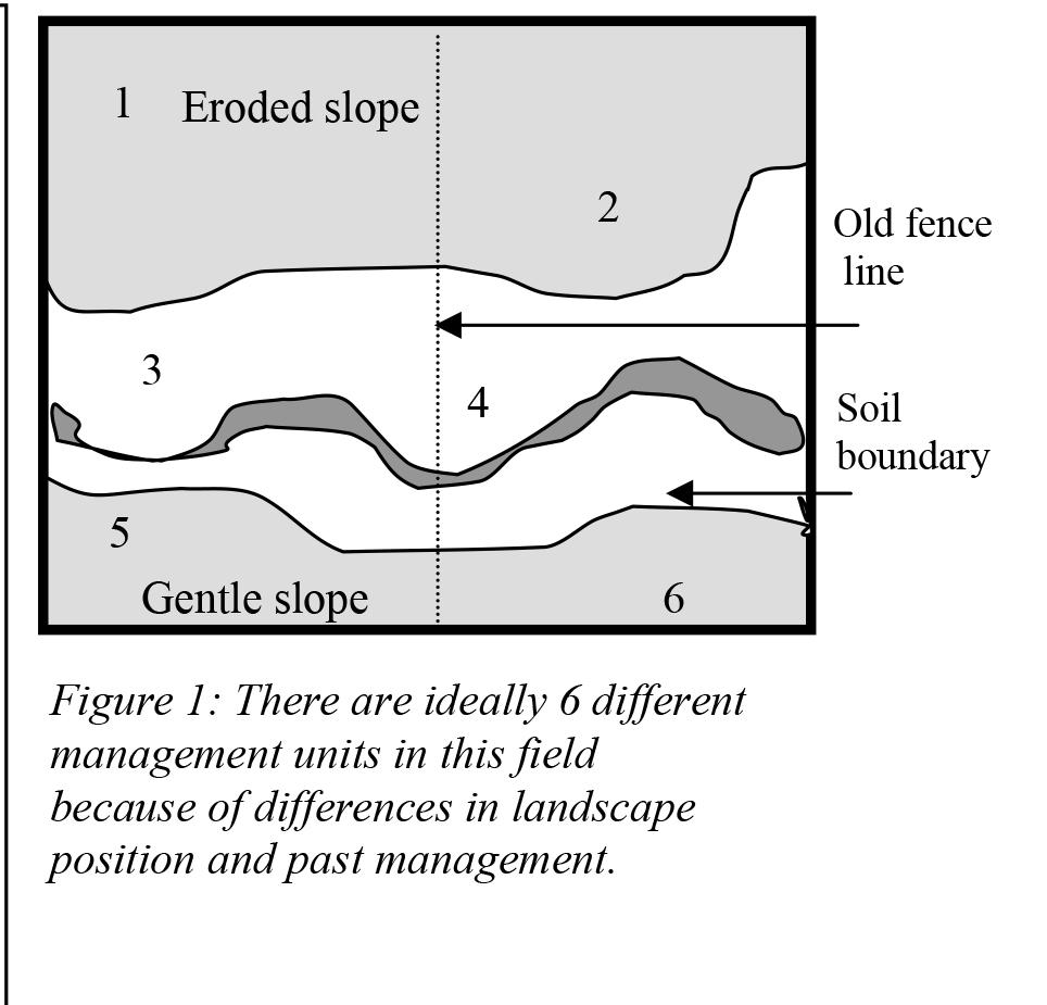 soil sampling techniques