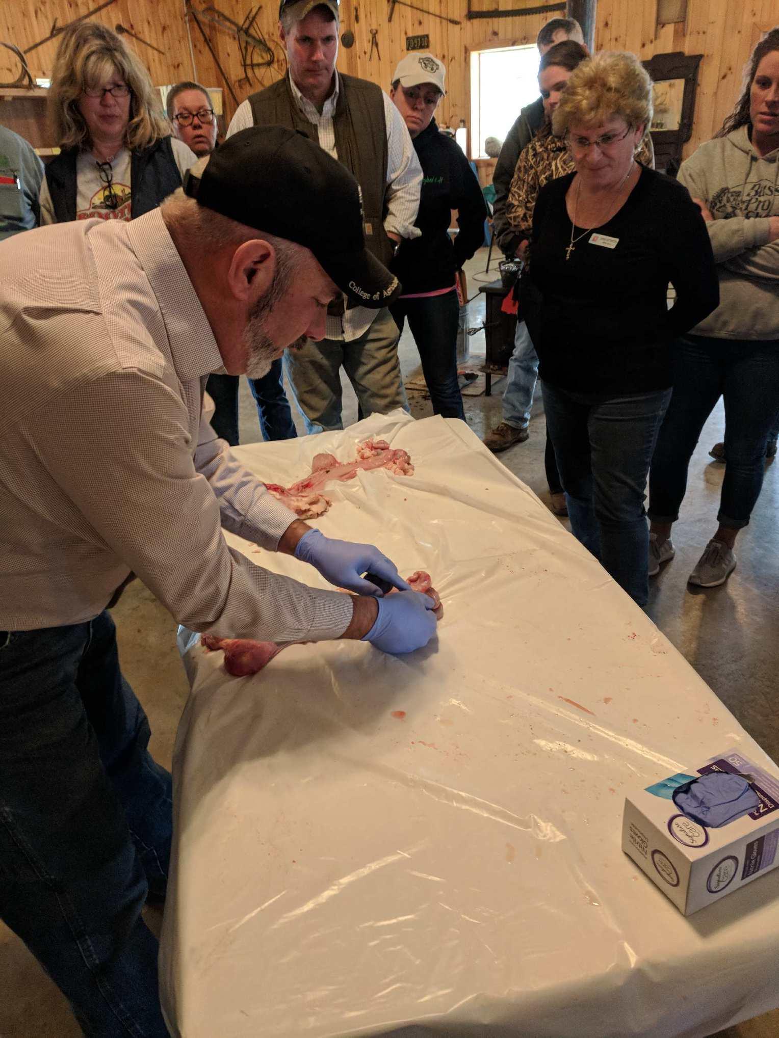 Jeff Semler teaching a class on the digestive system