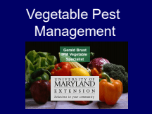 New Grower Training - Vegetable IPM