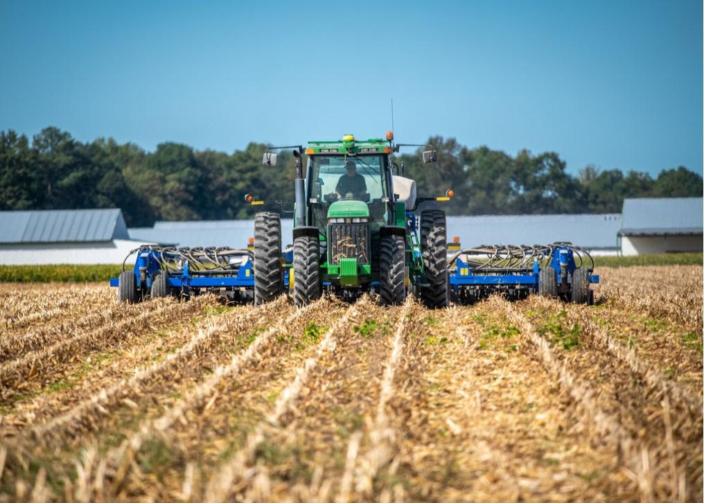 Cover crops being planted into harvested corn field