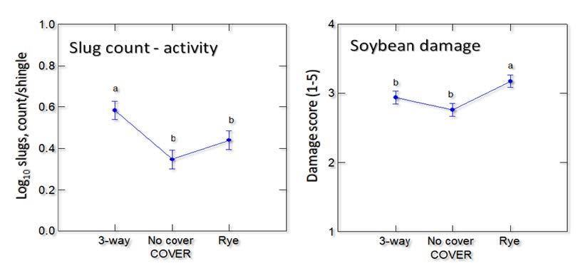 Figure 9. For the cover crop plots termination on the mid date, more slugs were counted in the 3-way mix, but more damage was observed in the rye.