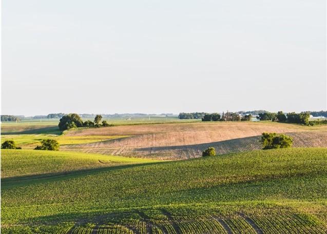 Farmland