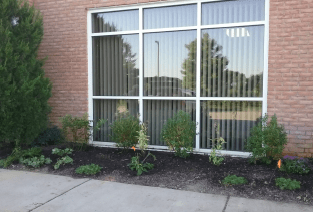 Ag Service Center Native Garden