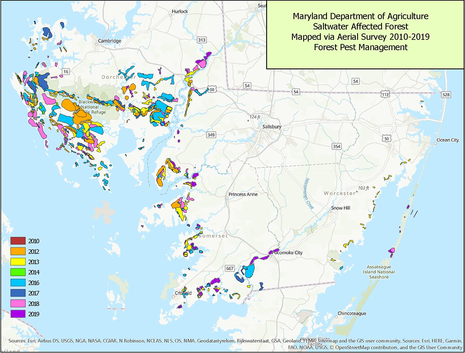 Map of forestland on Maryland’s Lower Eastern Shore