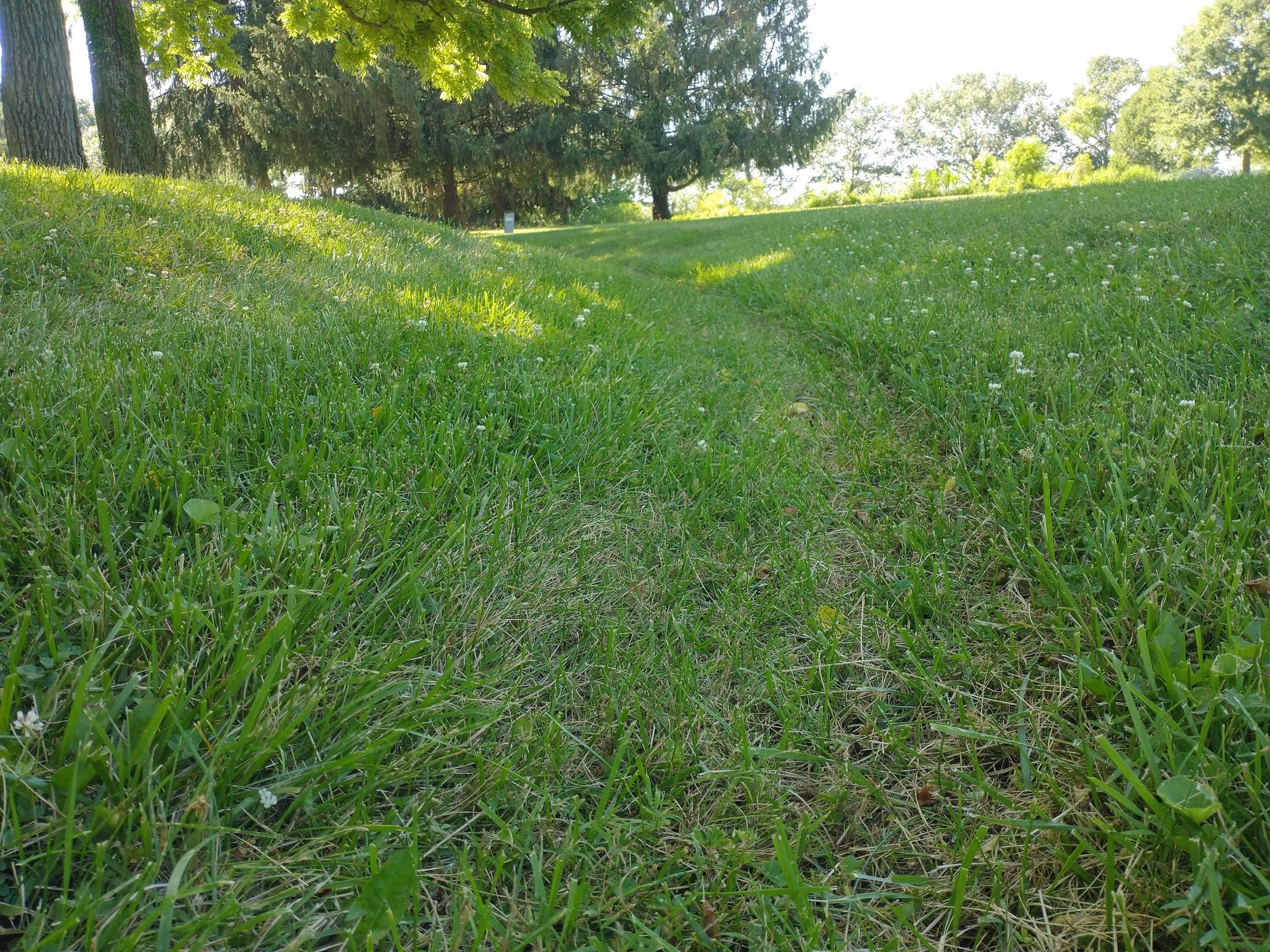 Bioswales and Open Vegetative Channels