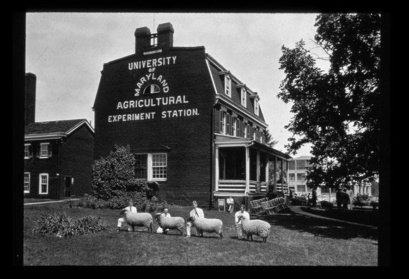 Land Grant University Historic Photo