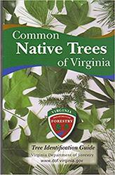 Trees of Virginia