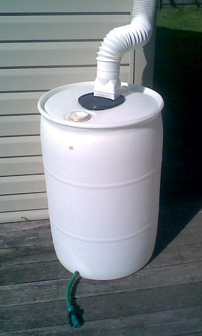 Rain Barrel