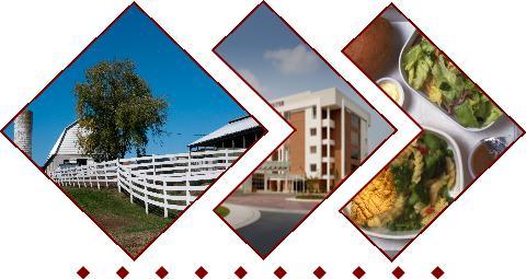 Graphic of farm, hospital, and food plate