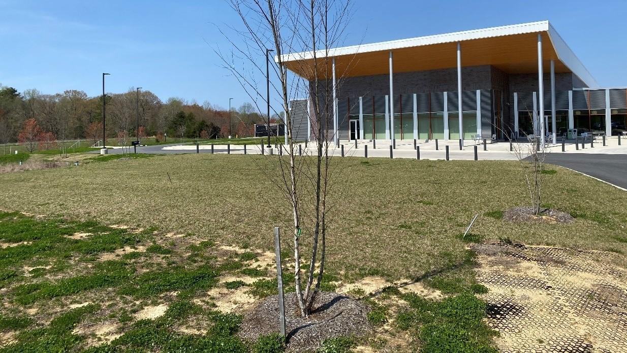 Leonardtown Library