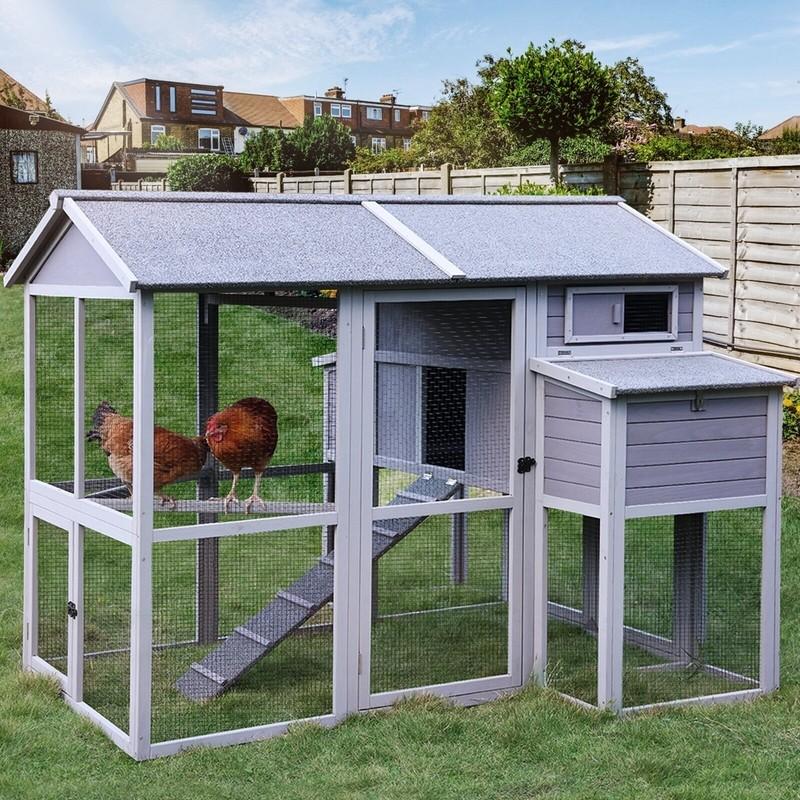 Wayfair Chicken Coop