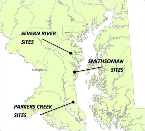 Figure 2. Location of the three Maryland wetland research sites. Within each wetland site, multiple study areas are assessed across a range of tidal flooding and salinity levels.