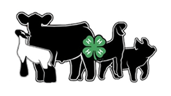 4-H Animal Science