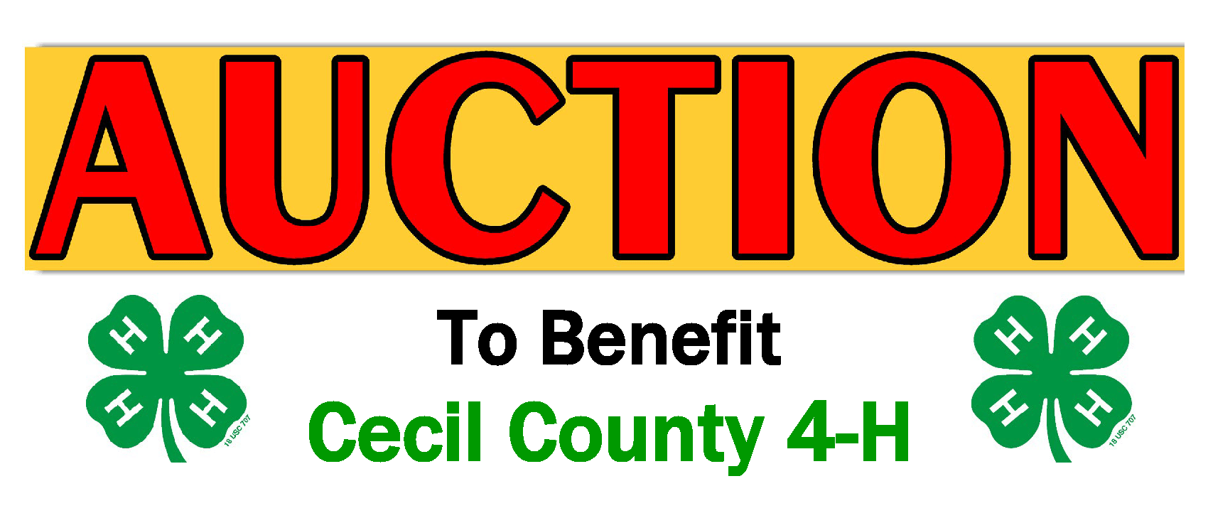 Benefit Auction