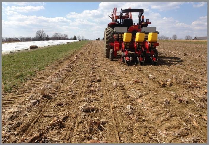 Farmer driving a tractor with seeder in field