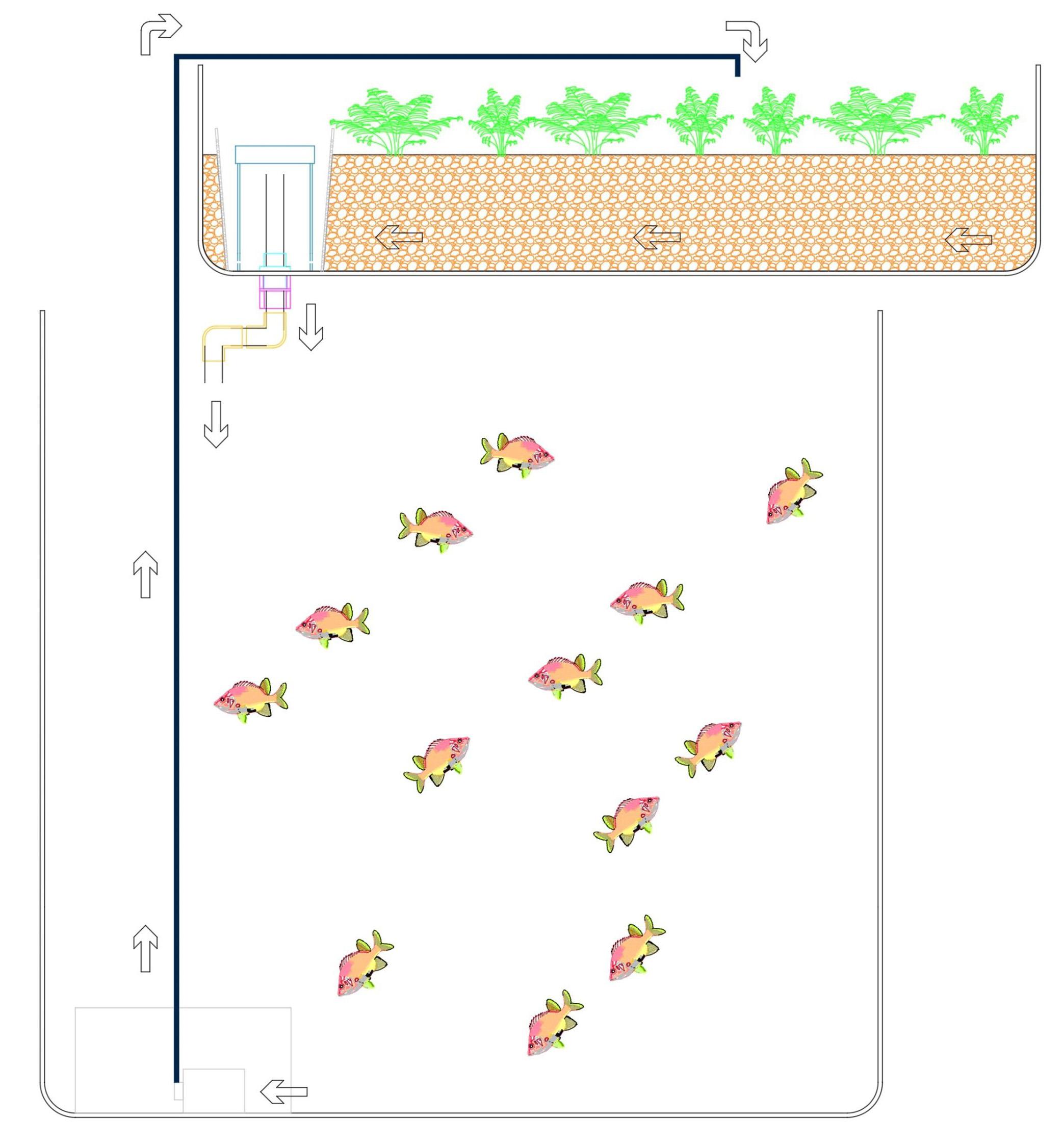 Illustration of aquaponics system showing grow medium fill line, water fill line, and water flow.