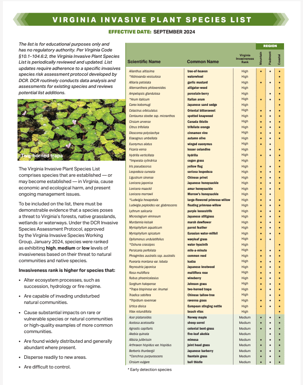 Screenshot of Virginia Invasive Plant Species List