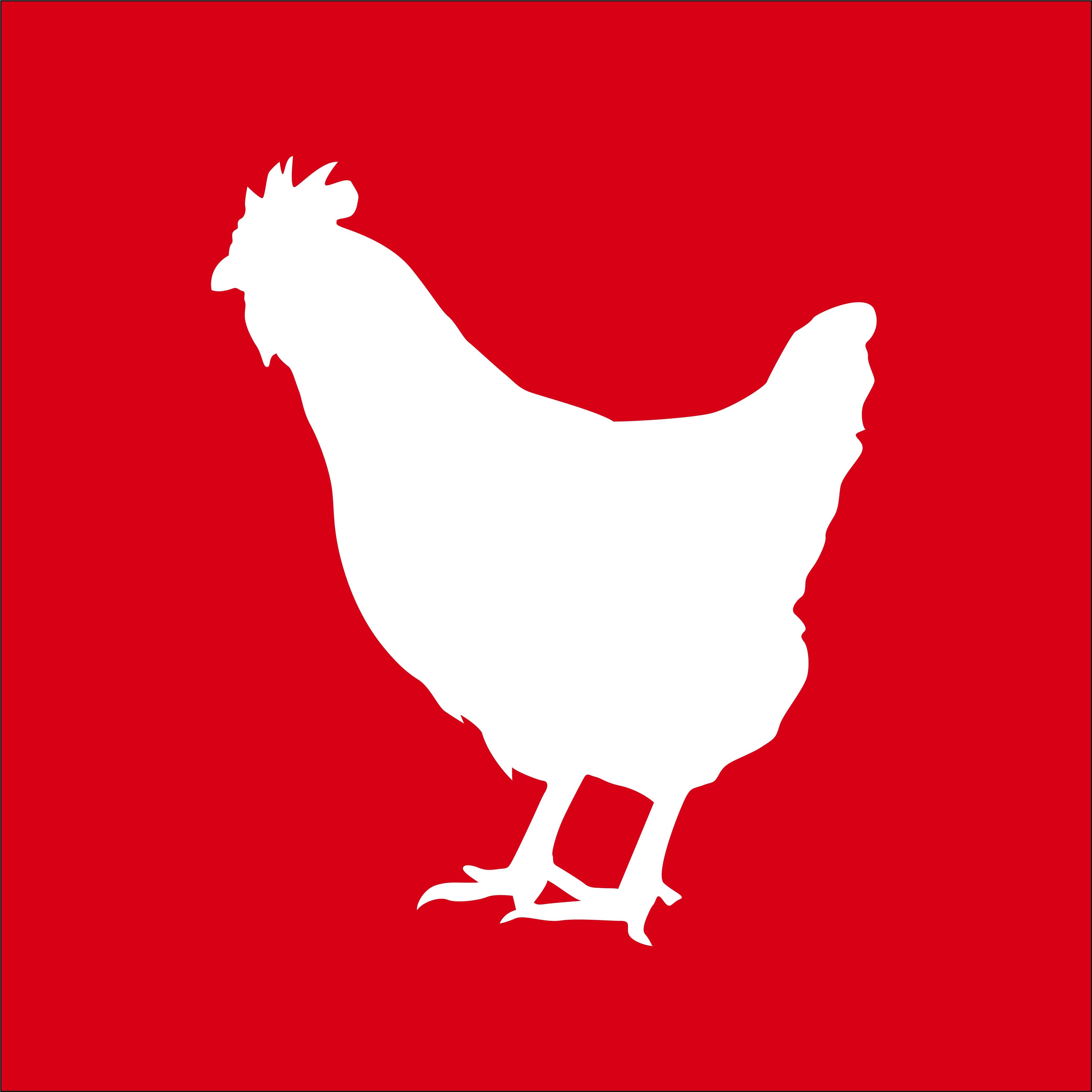 Chicken Icon