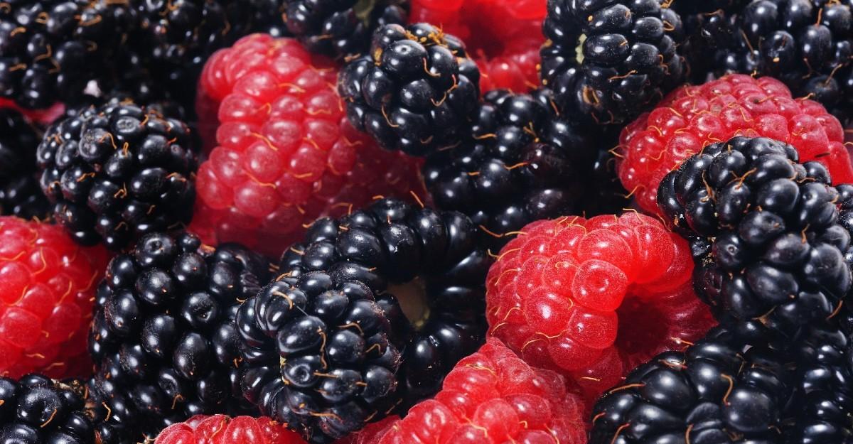 raspberries and blackberries