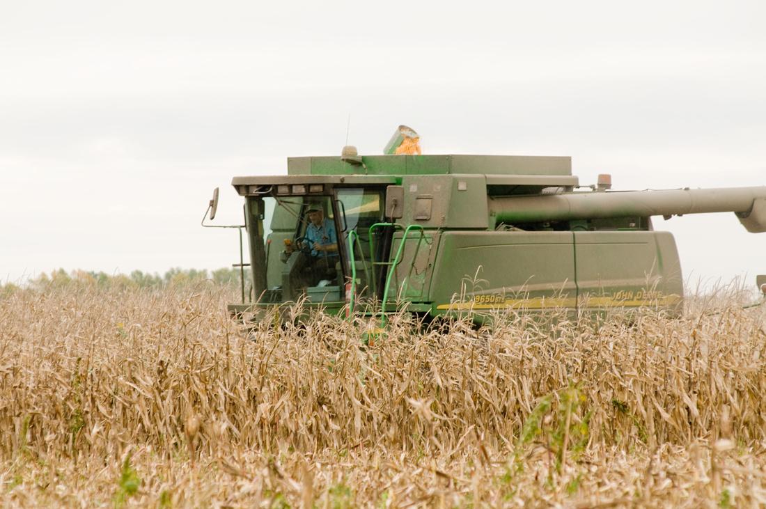 Harvesting grain