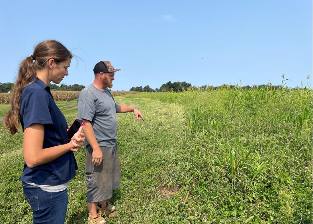 Extension agent consulting with farmer about cover crops