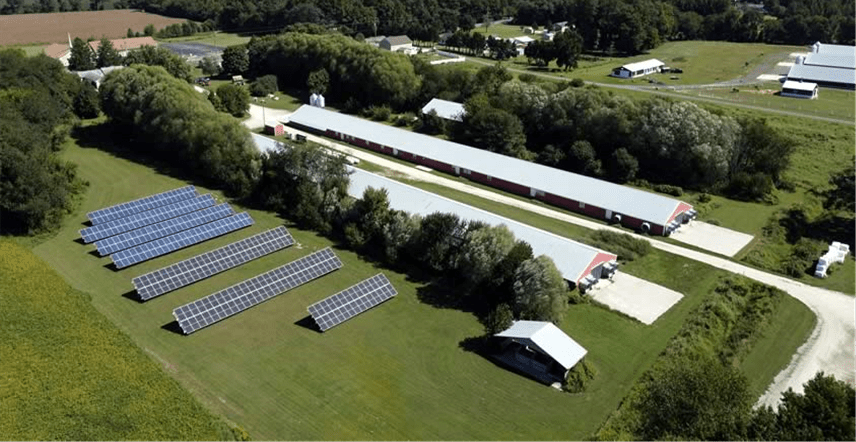 Overview of a poultry farm