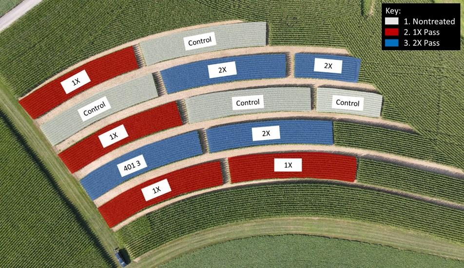 Map of tar spot fungicide timing research plot layout.