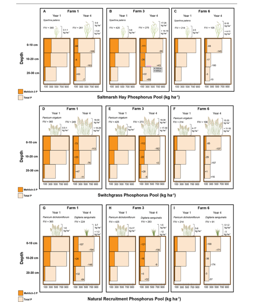 Saltwater Intrusion Fig 2