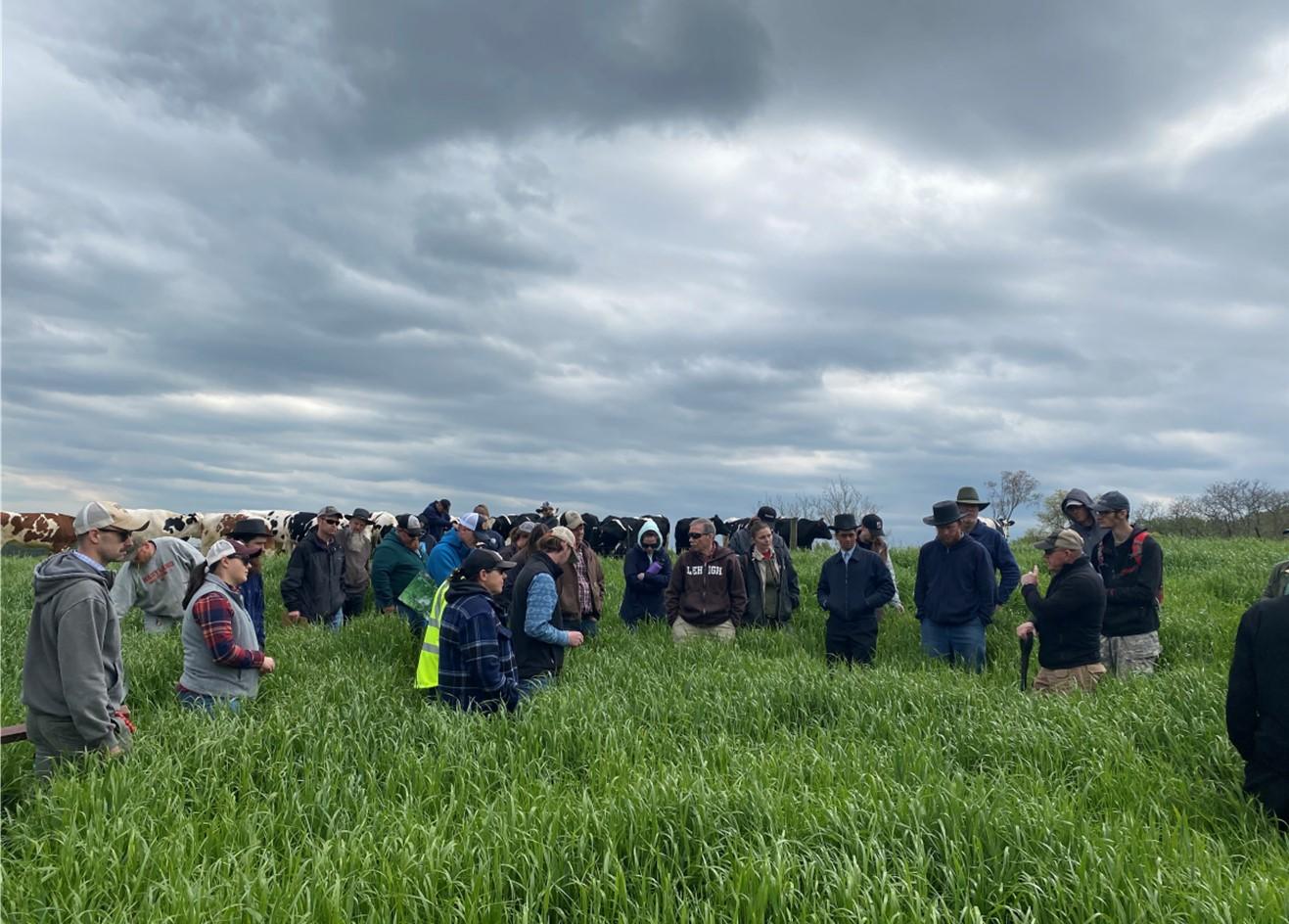 Participants are gathered in a lush forage pasture at the WMREC (Western Maryland Research and Extension Center).