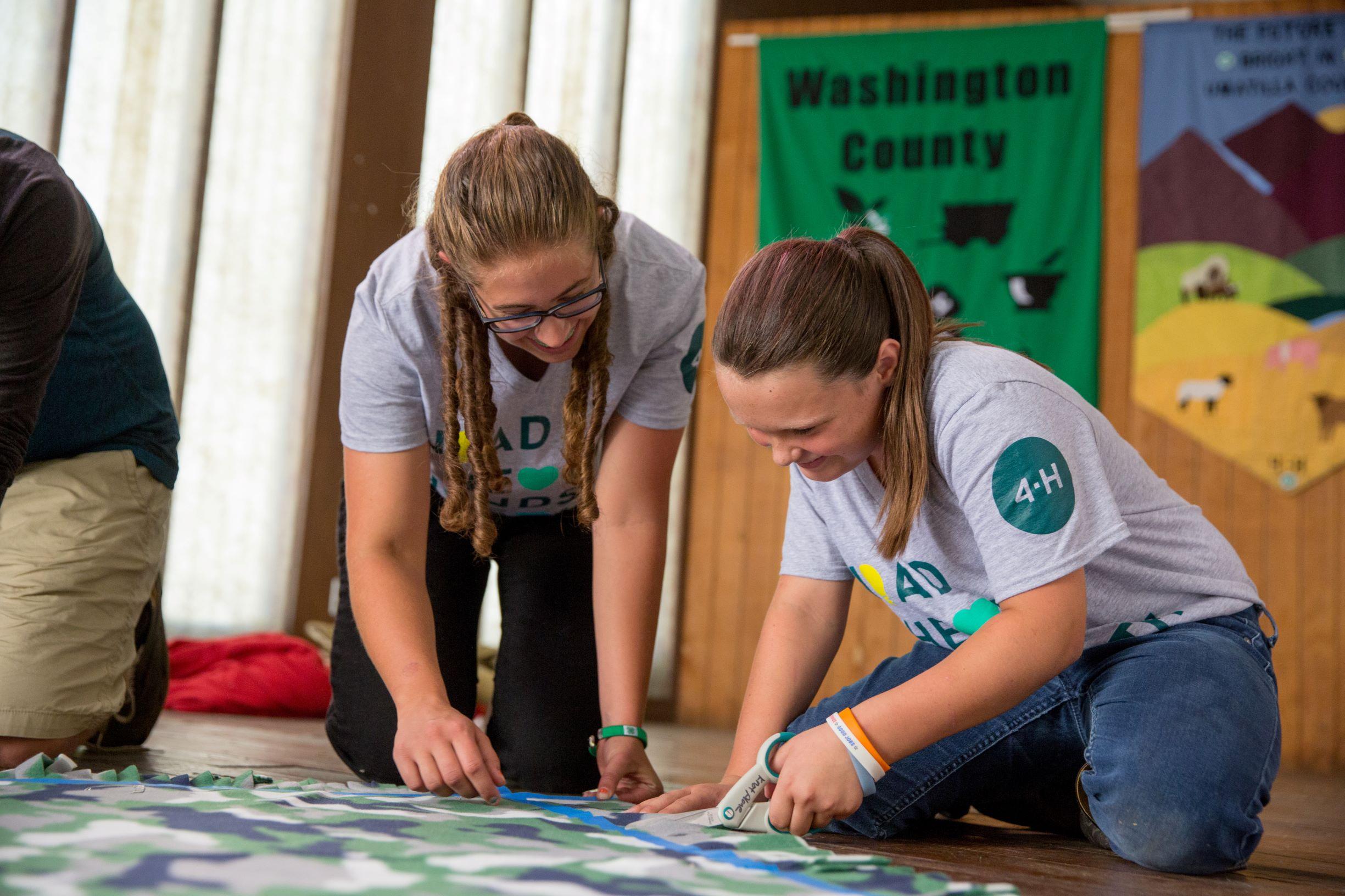 4-H Curriculum Textiles