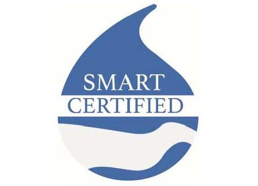 SMART Logo