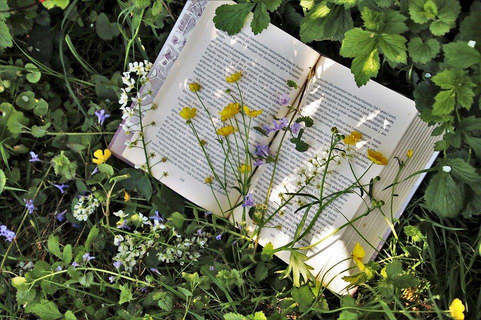 Book with flowers