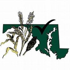 state of MD frawing with corn and wheat stalks