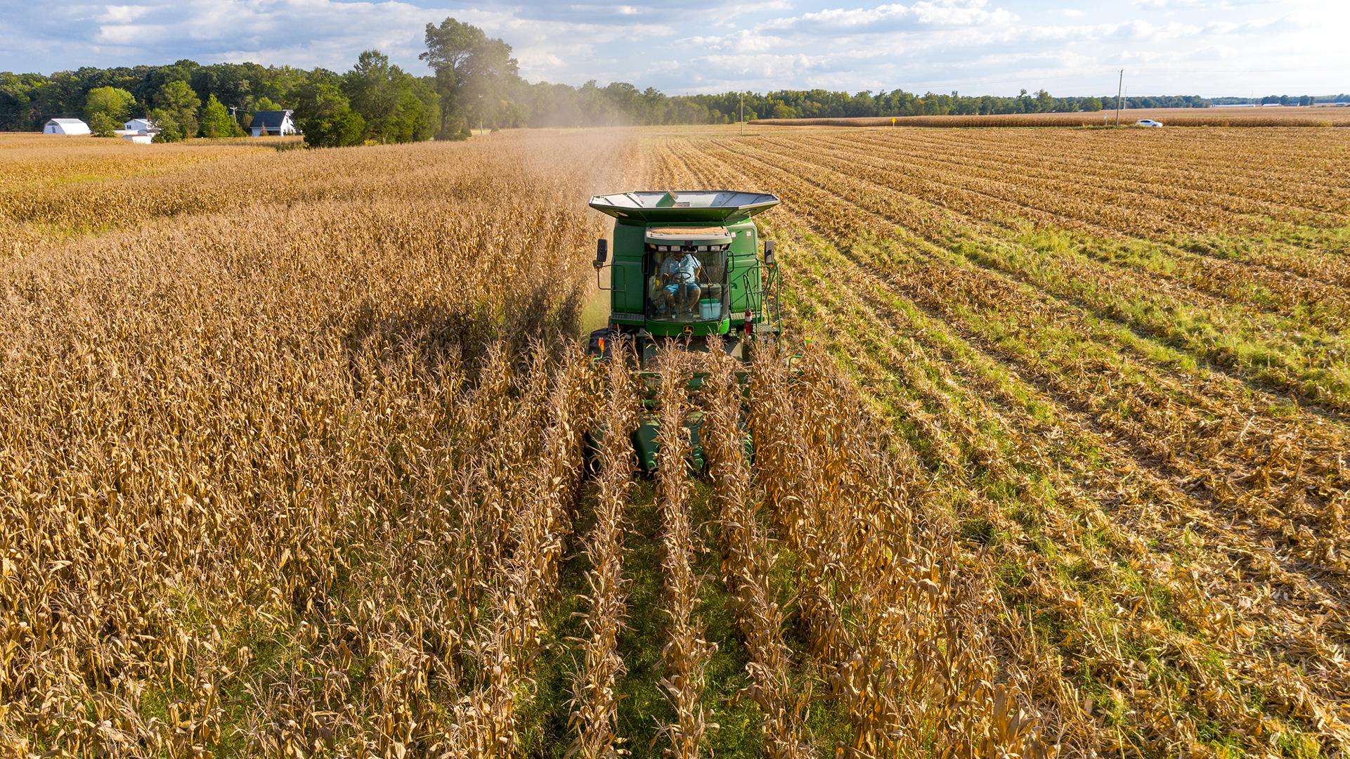 Corn harvest from above on the Eastern Shore of Maryland