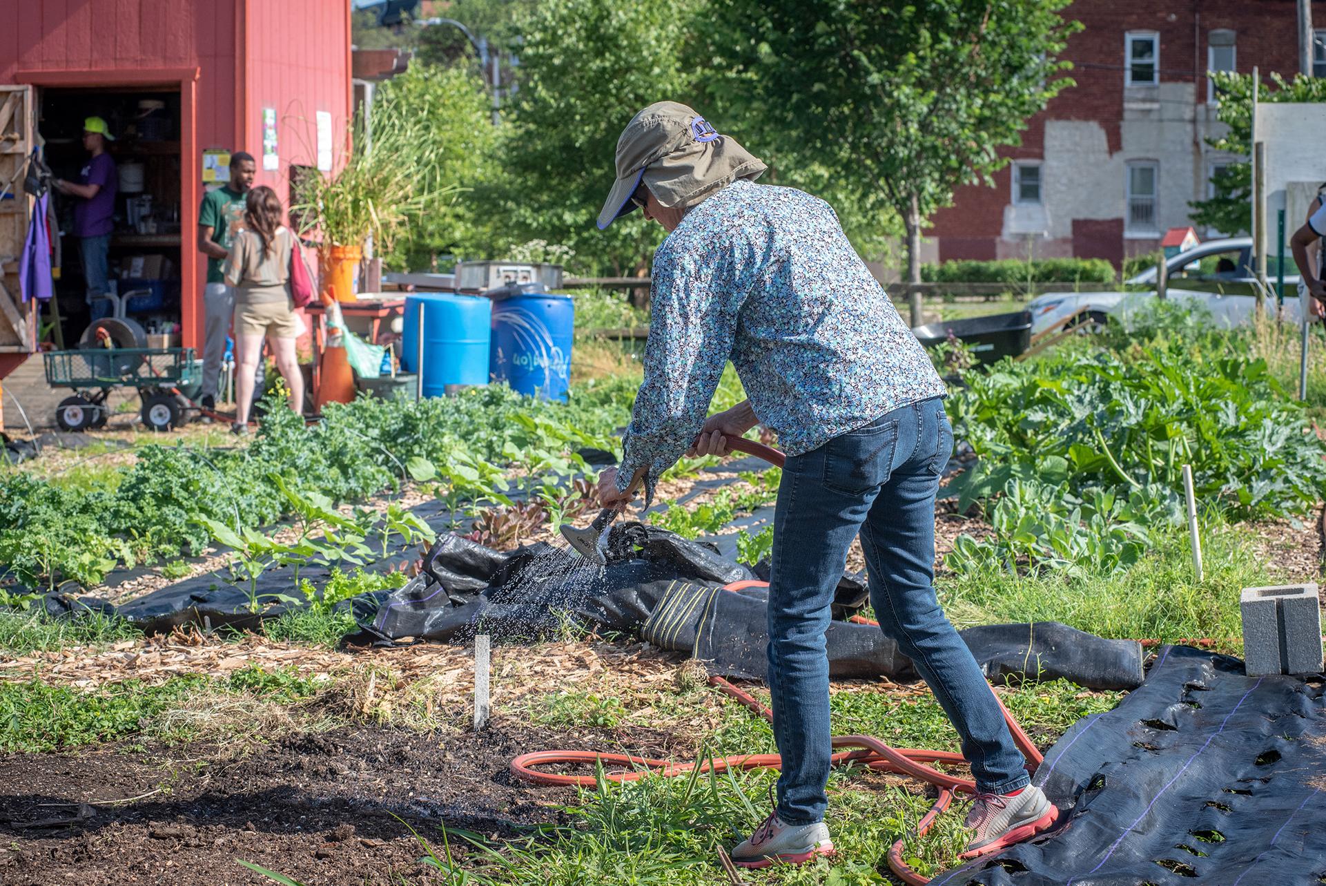 Woman watering an urban farm area in Baltimore City