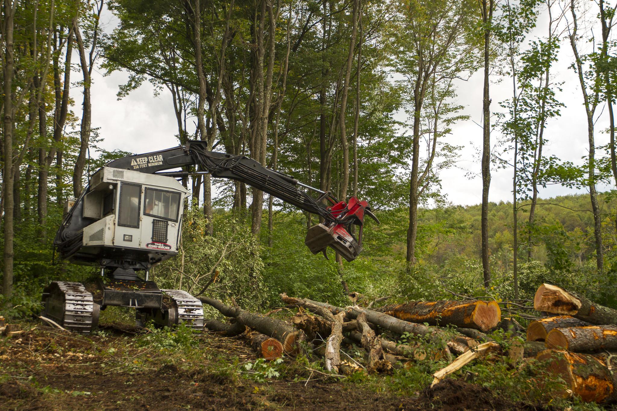 "U.S. Forestry: Luke Paper Mill and Woodlands Site" by World Resources is licensed under CC BY-NC-SA 2.0