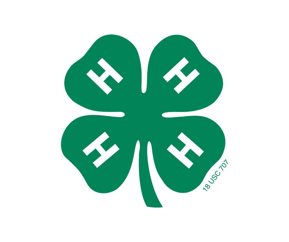 4-H Clover