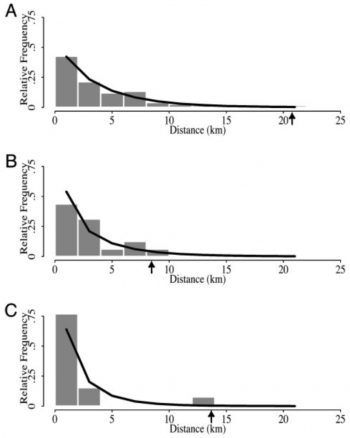 graph of creeping bentgrass cultivars