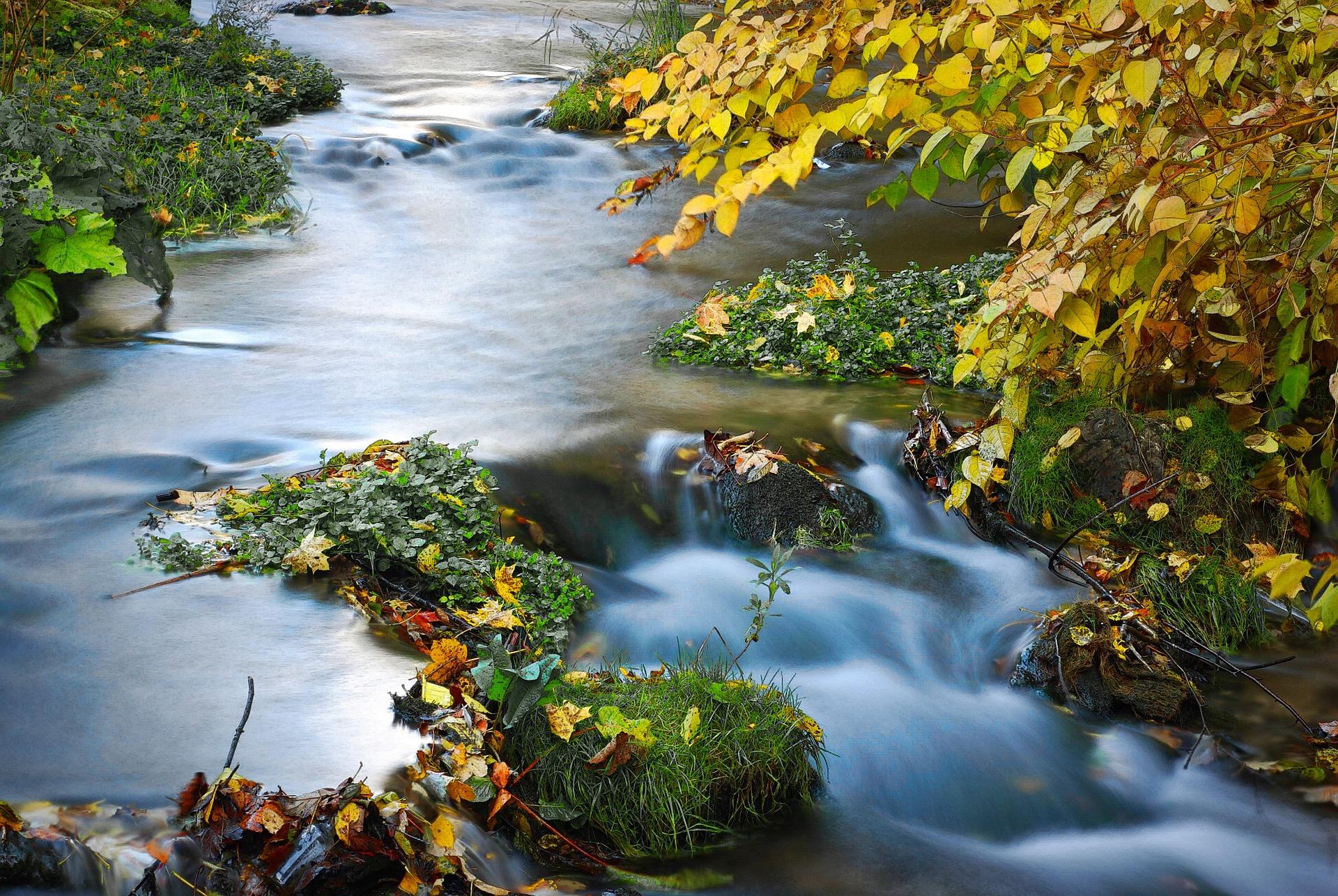 Water flowing in creek